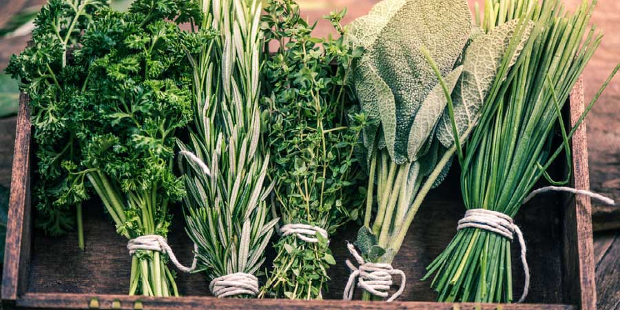 Top 5 Easy To Grow Herbs