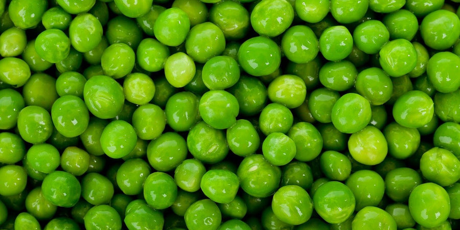 how to grow peas