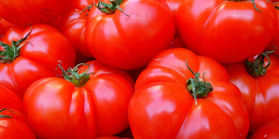 How To Grow Tomatoes