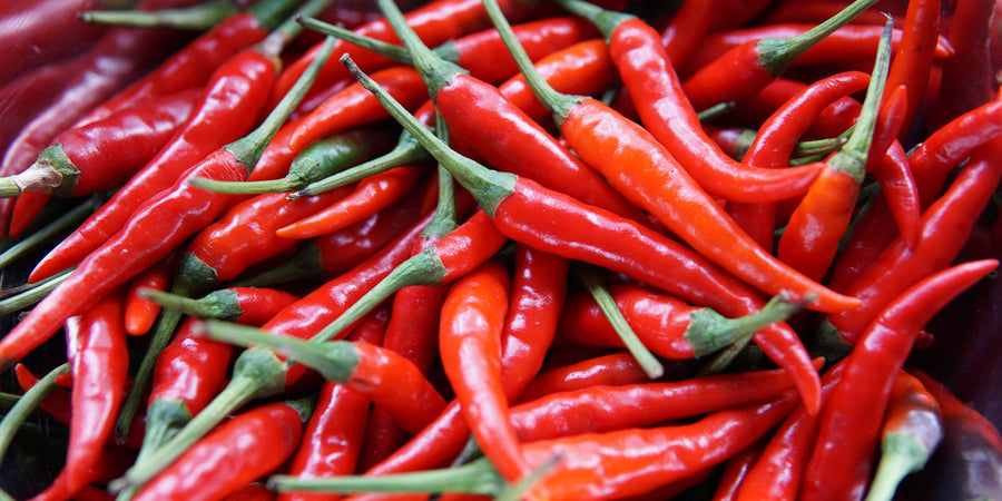 How To Grow Chilli Peppers