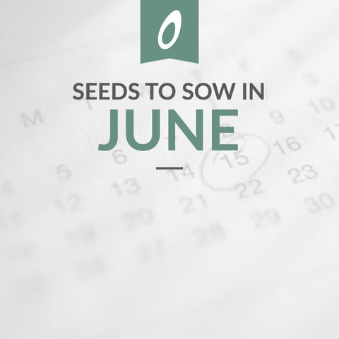 What to Sow in June