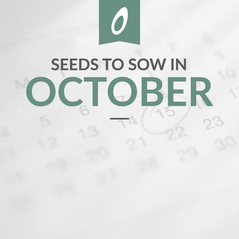 What to Sow in October