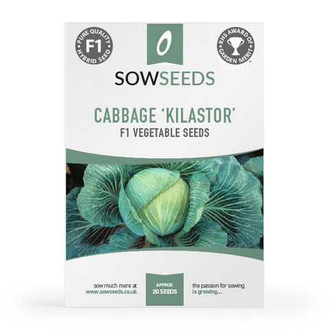 Cabbage Kilastor F1 Seeds (AGM)