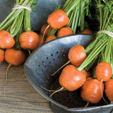 carrot paris market vegetable seeds