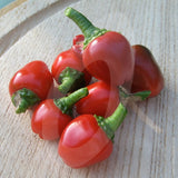 Cherry Bomb Chilli Seeds