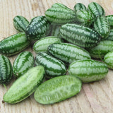 Cucamelons