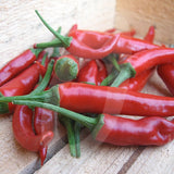 Ring of Fire Chilli Seeds