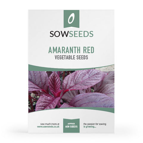 Amaranth Red Seeds