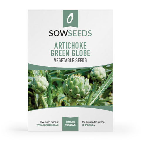 Artichoke Italian Green Globe Vegetable Seeds