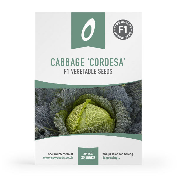 cabbage cordesa f1 vegetable seed