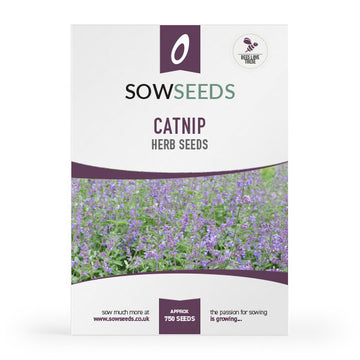 herb catnip catmint rhs seeds
