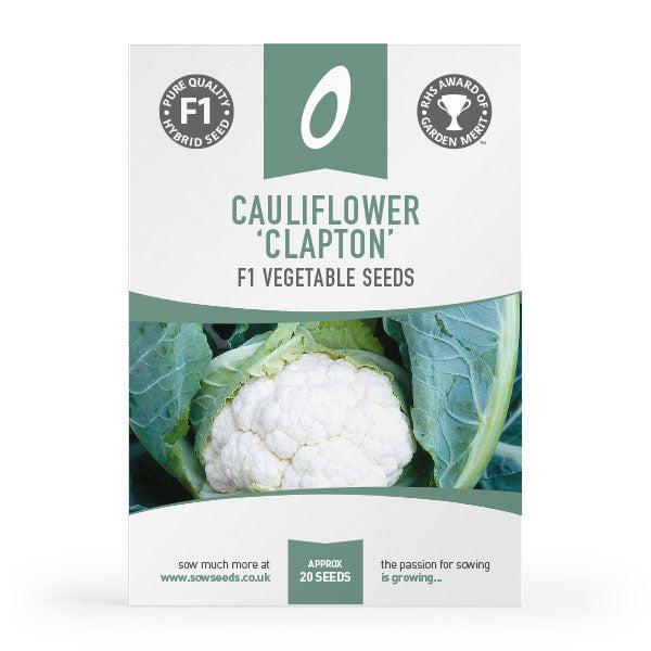 cauliflower clapton f1 vegetable seed agm