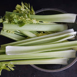 celery celebrity arm vegetable seeds
