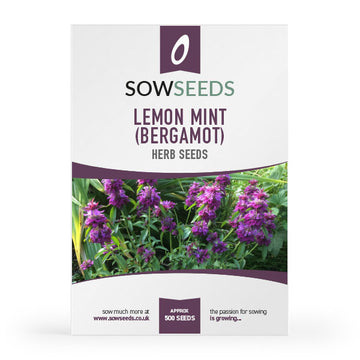 Lemon Mint (Monarda citriodora) herb seeds