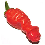 peter eros willy penis chilli pepper seeds