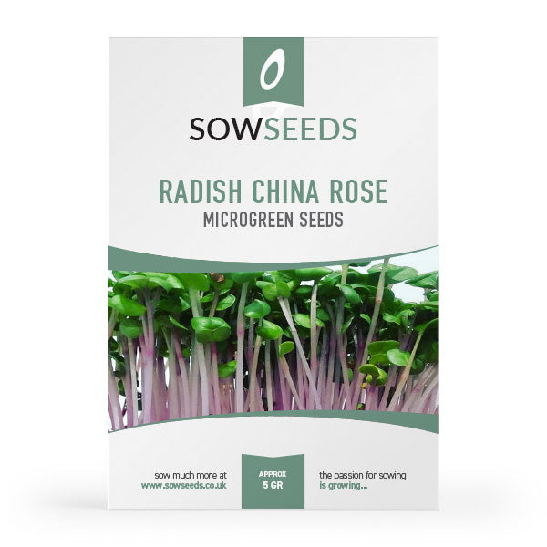 radish china rose microgreen sprouting seeds