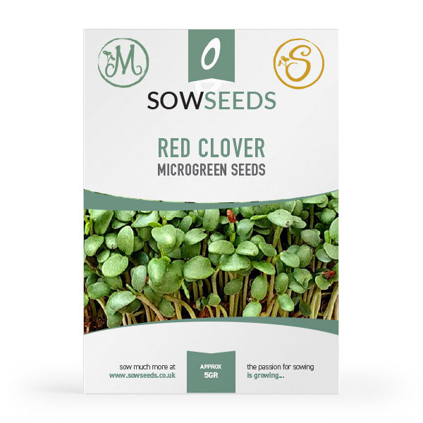 red clover sprouting microgreen seeds