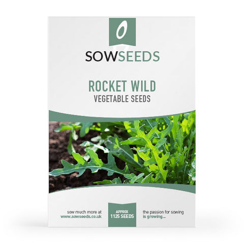 Rocket Wild Seeds