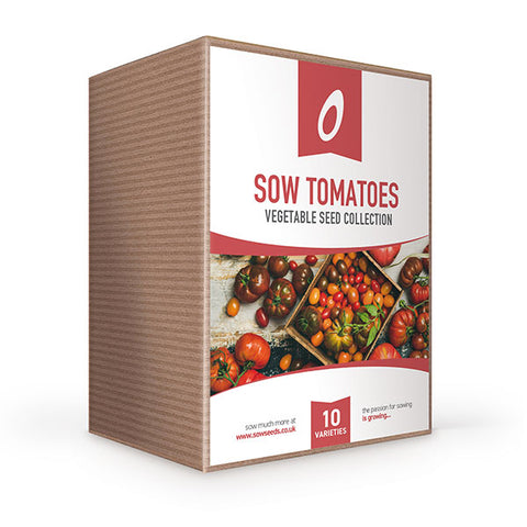Sow Tomato Seed Collection Box