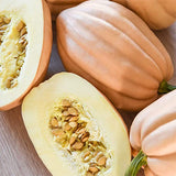 squash baked potato acorn vegetable seeds