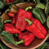 sweet pepper red king f1 vegetable seeds