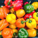 Sweet Pepper Golden Summer Mix Seeds