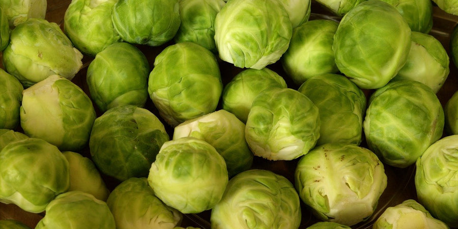 How to grow Brussels Sprouts