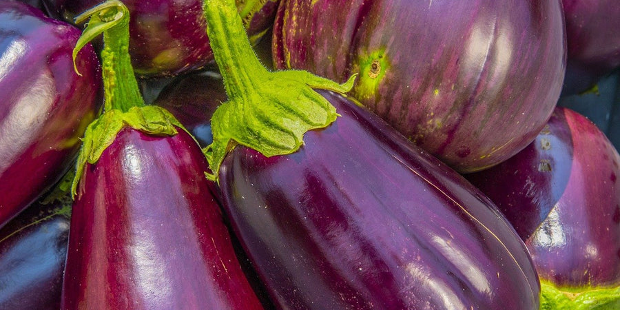 How To Grow Aubergines