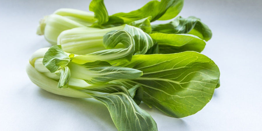 how to grow pak choi