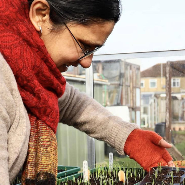 Sowing & Growing with Rekha - February 2