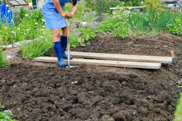 Green Manure advice from Kitchen Garden Magazine October Edition