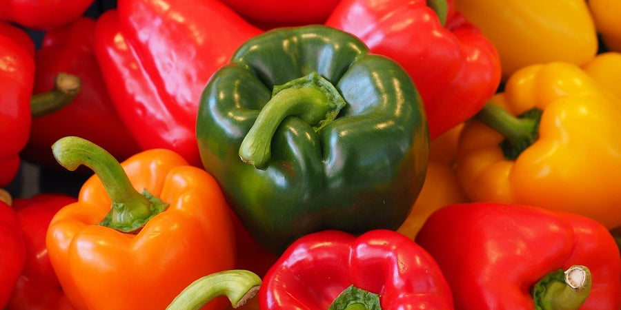 how to grow sweet pepper