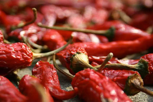 How To Grow Chillies Indoors