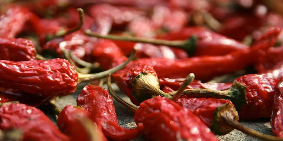 How To Grow Chillies Indoors