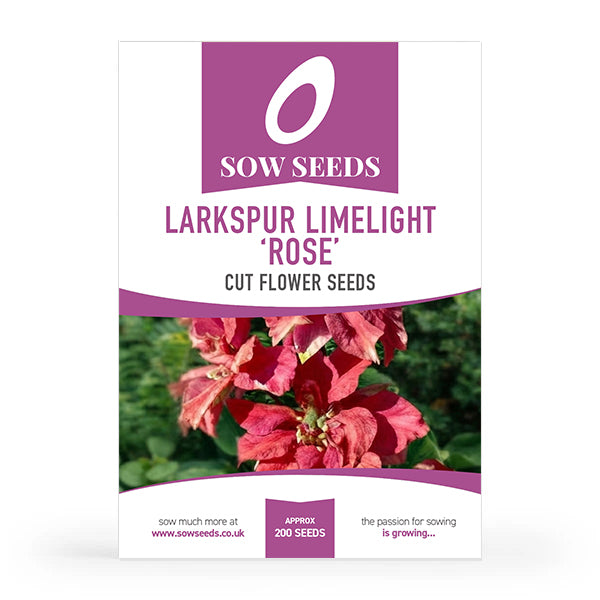 Larkspur Limelight Series Rose Cut Flower Seeds