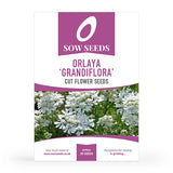 Hardy Annuals Cut Flower Collection Box