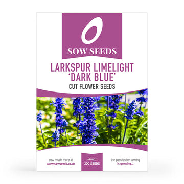 Larkspur	Limelight Series Dark Blue Cut Flower Seeds