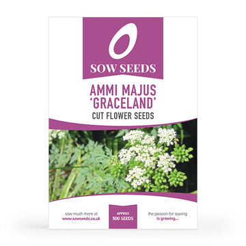 Ammi Majus Graceland Cut Flower Seeds