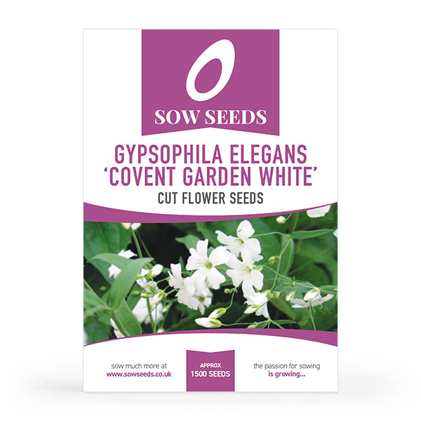Gypsophila Elegans Covent Garden White Cut Flower Seeds