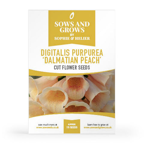 Digitalis 'Dalmatian Peach' Cut Flower Seeds
