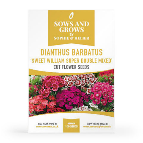 Dianthus Barbatus 'Sweet William Super Double Mixed' Cut Flower Seeds