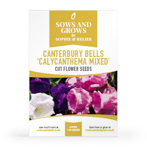 Canterbury Bells 'Calycanthema Mixed' Cut Flower Seeds