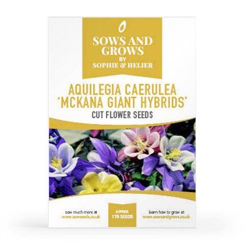 Aquilegia Caerulea 'Mckana Giant Hybrids' Cut Flower Seeds