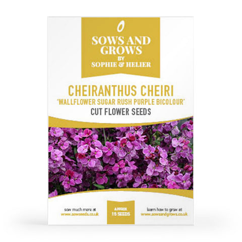 Cheiranthus Cheiri 'Wallflower Sugar Rush Purple Bicolour' Cut Flower Seeds