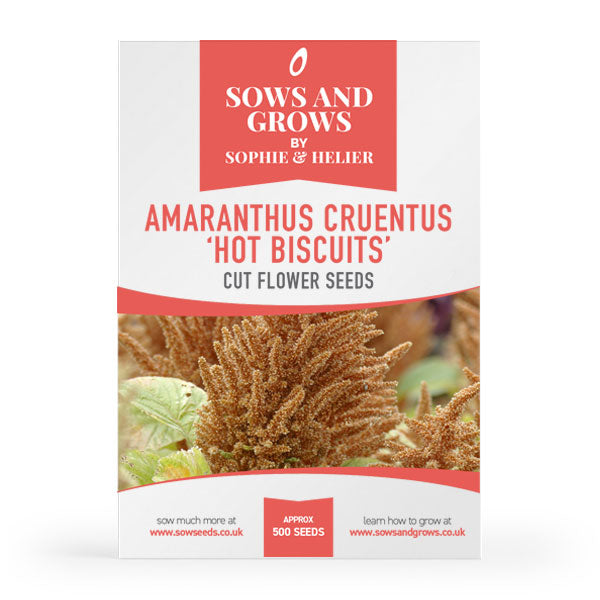 Amaranthus Cruentus 'Hot Biscuits' Cut Flower Seeds