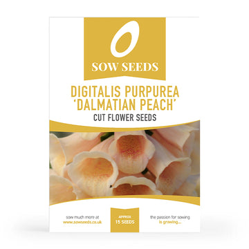 Digitalis 'Dalmatian Peach' Cut Flower Seeds