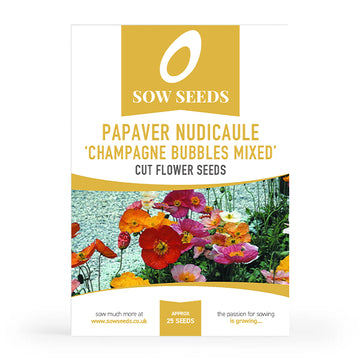 Papaver Nudicaule 'Champagne Bubbles Mixed' Cut Flower Seeds