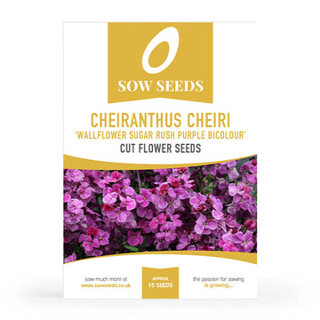 Cheiranthus Cheiri 'Wallflower Sugar Rush Purple Bicolour' Cut Flower Seeds
