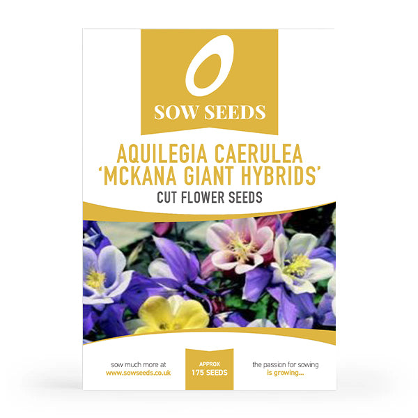 Aquilegia Caerulea 'Mckana Giant Hybrids' Cut Flower Seeds