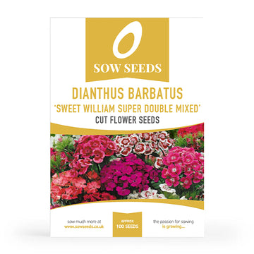 Dianthus Barbatus 'Sweet William Super Double Mixed' Cut Flower Seeds